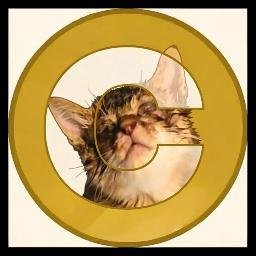 This is the logo of the coin.